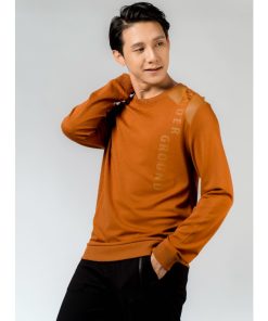 Áo Hoodie - HD23272